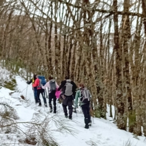 5b