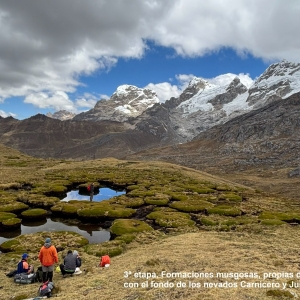 3ª etapa. Formaciones musgosas, propias de la vegetación andina, con el fondo de los nevados Carnicero y Jurau.