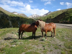 1024px-Caballosenla valldeboi  